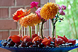 Geschmckte Glasschale im Eingangsbereich der Kirche mit Dahlien, Lampionblumen, Kastanien, Hagebutten und Rosen.